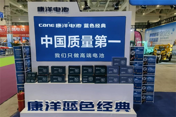 康洋电池 康洋电池