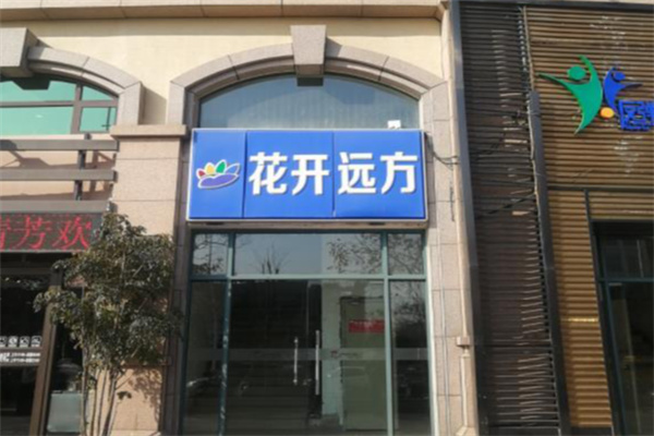 花开远方语文 花开远方语文