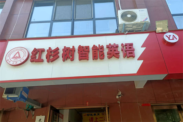 红杉树英语