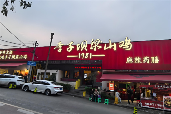 李子坝鸡 李子坝鸡