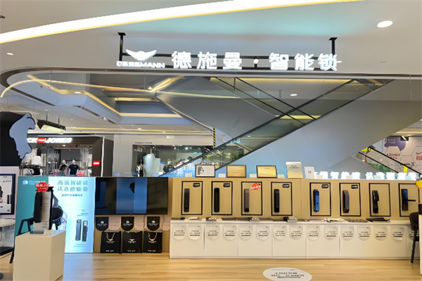 德施曼智能锁