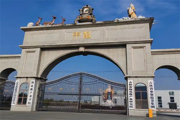 东鳌
