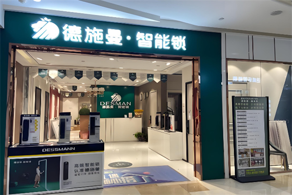 德施曼智能锁