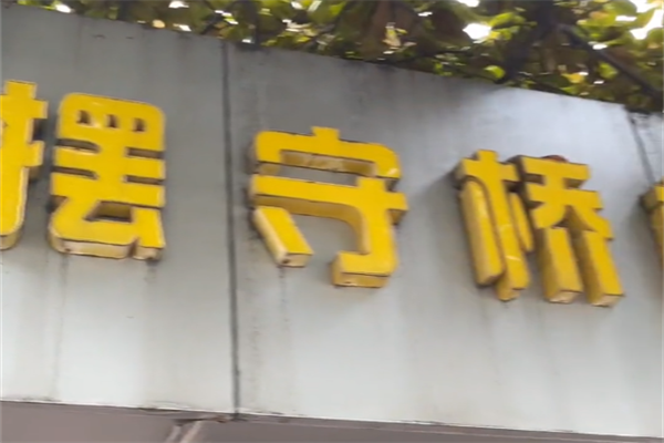 摆守桥椒盐排条