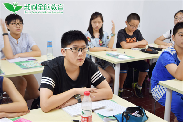 邦树全脑教育