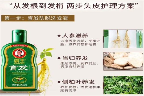霸王养发馆招商