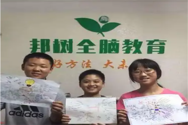 邦树全脑教育