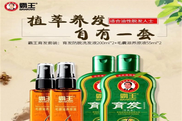 霸王养发馆招商