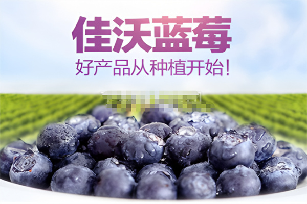 佳沃果业