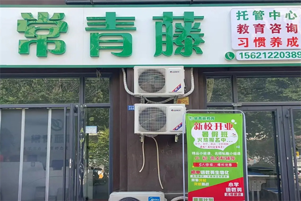 常青藤教育
