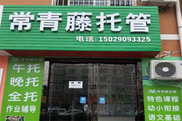 常青藤教育