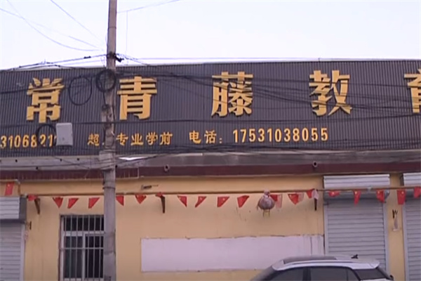 常青藤教育