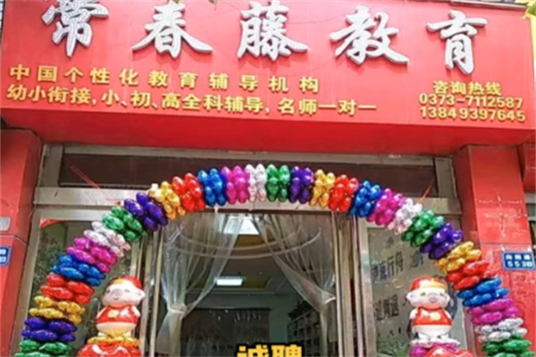 常青藤教育