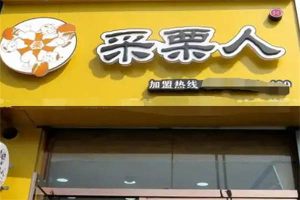 采栗人板栗