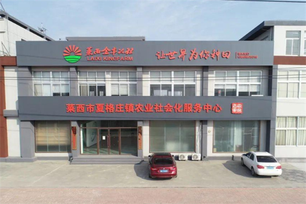 金丰公社 金丰公社