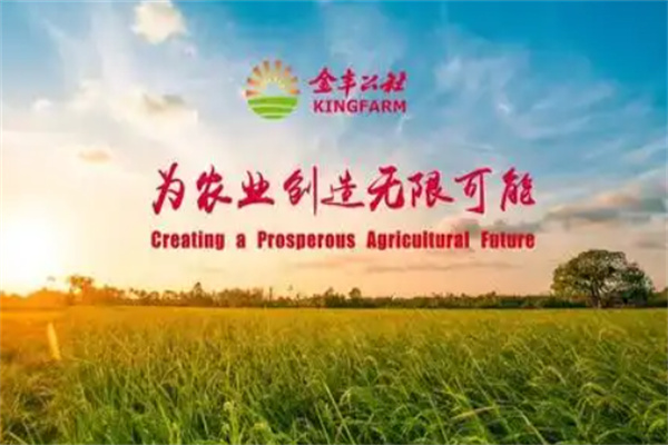 金丰公社 金丰公社