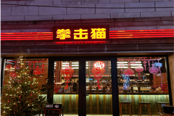 拳击猫