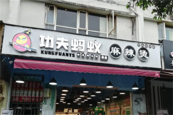 功夫蚂蚁 功夫蚂蚁