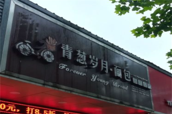 青葱岁月蛋糕