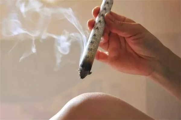 裹灸艾灸 裹灸艾灸