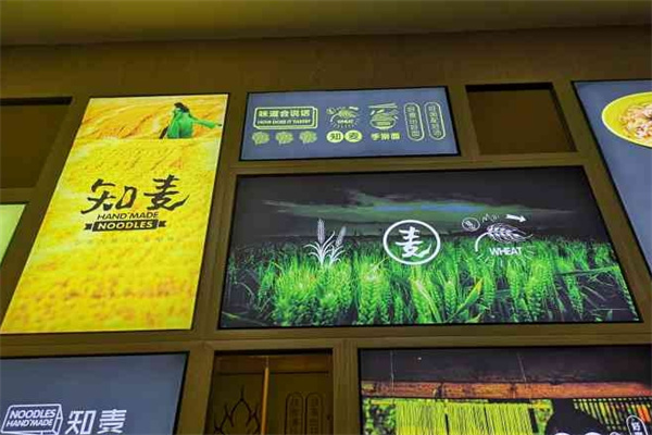 知麦手擀面