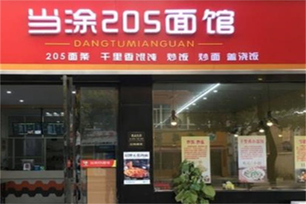 当涂205大肉面