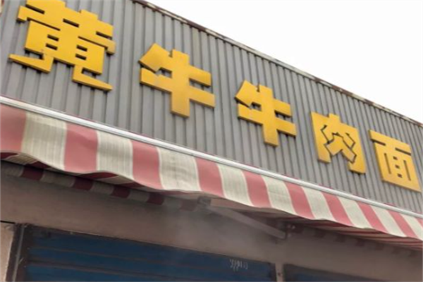 黄牛牛肉面