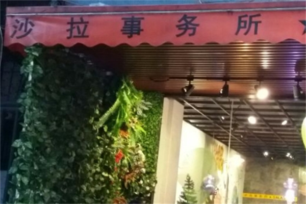 沙拉事务所