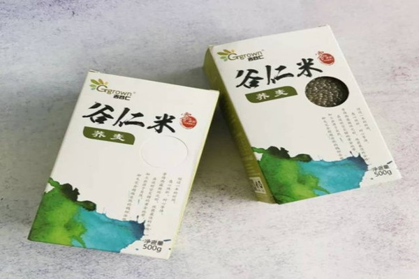 谷仁米加盟