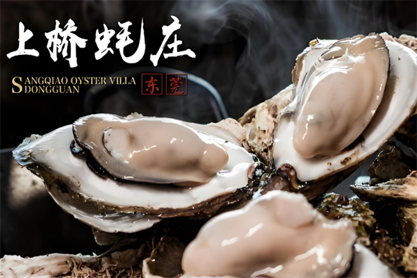 上桥蚝庄