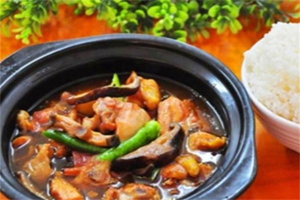 枝炜黄焖鸡米饭