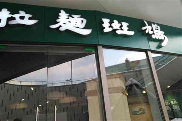 拉面斑鸠 拉面斑鸠