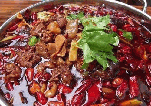 杨肥肠火锅