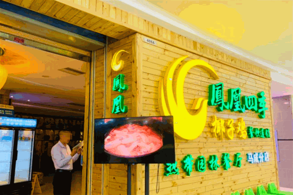 凤凰四季椰子鸡
