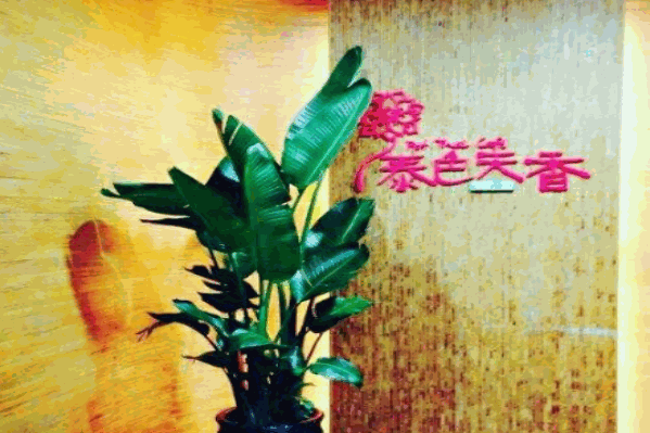 泰色天香海鲜火锅