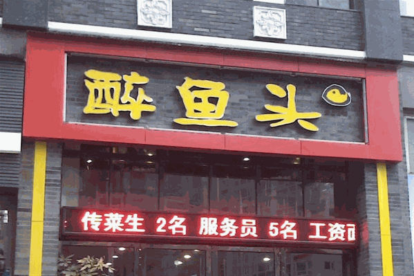醉鱼头鱼火锅