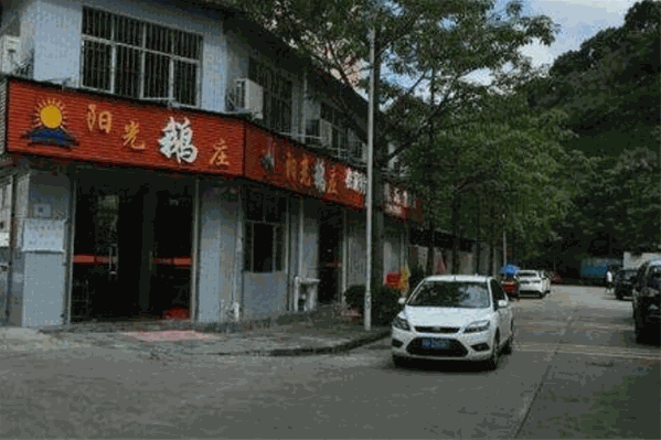 阳光鹅庄