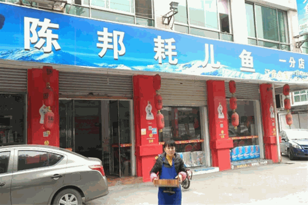 陈邦耗儿鱼