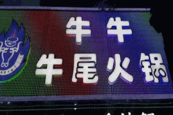 牛牛牛尾火锅