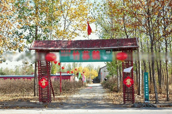 龙鼎竹荪鹅
