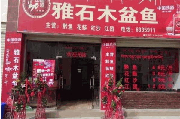 雅石木盆鱼
