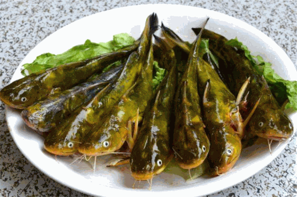 黄辣丁鱼火锅