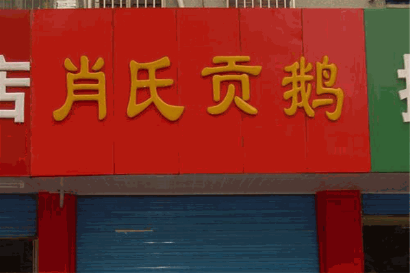 肖氏贡鹅