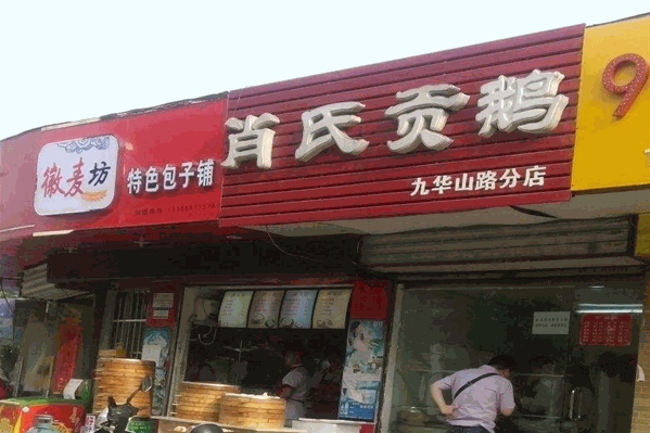 肖氏贡鹅