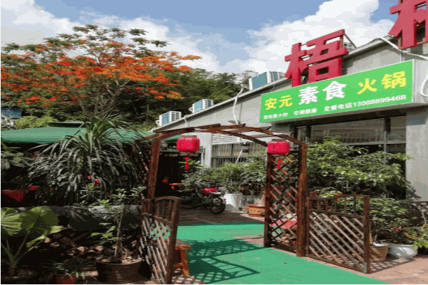 安元素食火锅