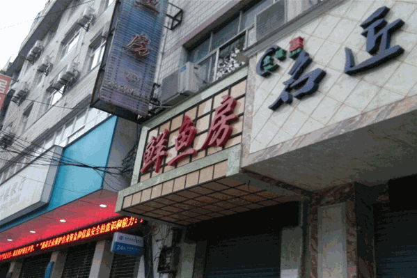 鲜鱼房 鲜鱼房