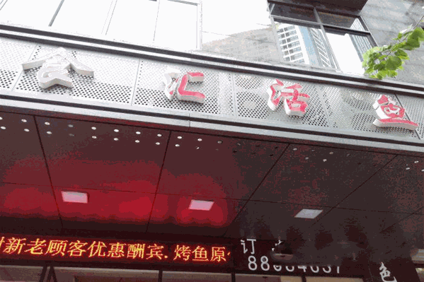 食汇活鱼