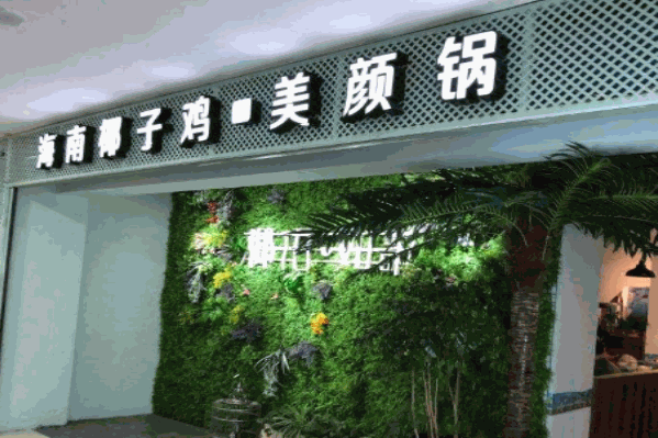 椰语如歌椰子鸡美颜锅火锅