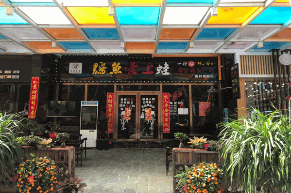 鸡鱼爱上蛙