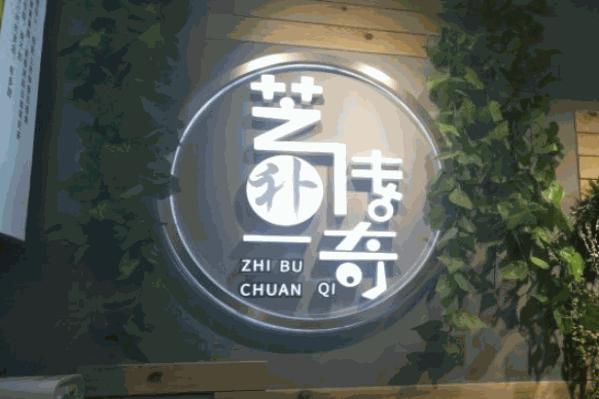 芝补传奇